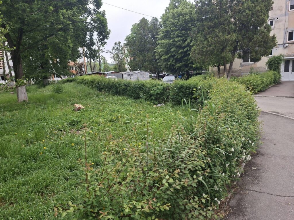 Adio, jungle dintre blocuri! Cum vor arăta cartierele Micro I și II după investiția de sute de mii de lei